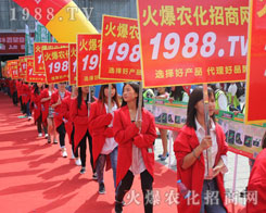 1988�r���W��2016�����r�Y�����h�P