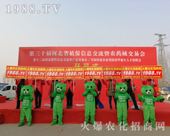 ���r(n��ng)���W(w��ng)�F(tu��n)�Y(ji��)һ�y�ֲ�������2019�ӱ�ʯ���fֲ����(hu��)��