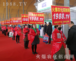 2019��30�úӱ�ֲ����(hu��)�����r(n��ng)���W(w��ng)Ҋ(ji��n)�C�ИI(y��)ʢ��(hu��)�ل�(chu��ng)�ѿ�(j��)��