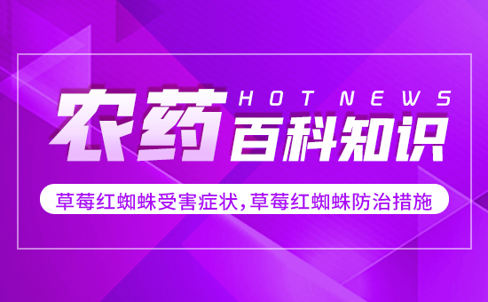 ��ݮ�t֩���ܺ��Y���ݮ�t֩����δ�ʩ