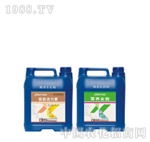 �W��ɭ-�{(di��o)��(ji��)��