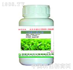 �S��(l��)�r(n��ng)��-�ݸ��