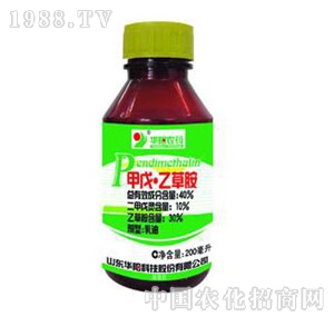 �A�-40%�������Ҳݰ�����