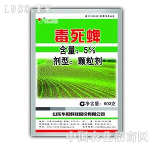 �A�-5%�������w����