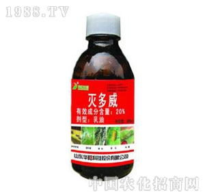 �A�-20%��Ч���������