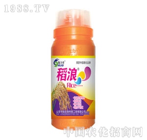 ��ԣ����-����