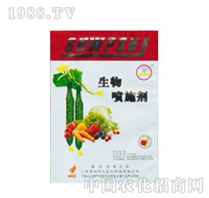 ��M��-���ʩ��