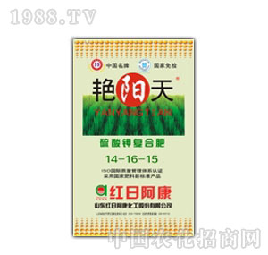 �t�հ���-�G�������⛏�(f��)�Ϸ�