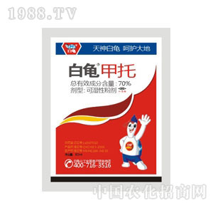 ��������-����