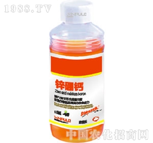 ���՘�(l��)-�\���}