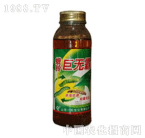 һ��-�ޟo(w��)��