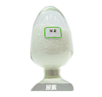 ����ú��-����