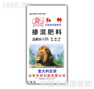 ��������-�L(zh��ng)Ч���ܾ����19-19-19