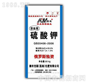 ��������-50%����