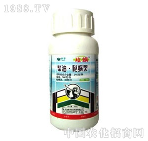 �n��-����