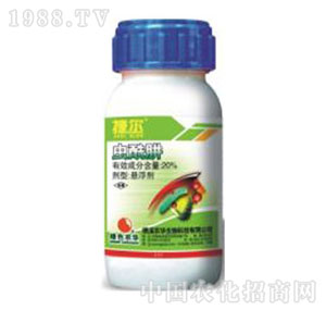 �Gɫ�r(n��ng)�A-�ݠ�