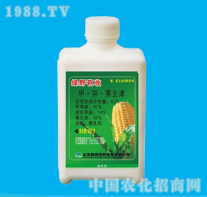 �ٰ�-42%�GҰ����