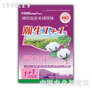 ���-���`1+1