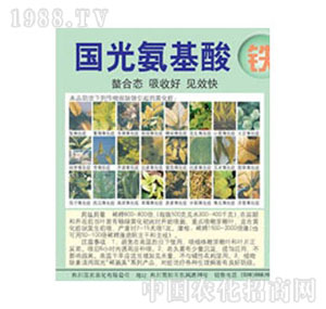 ����-�������F