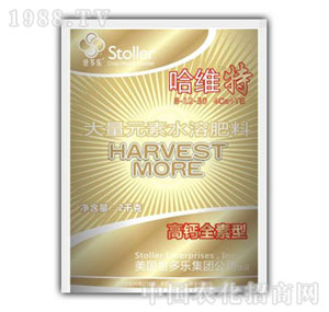 ������(l��)-���S��