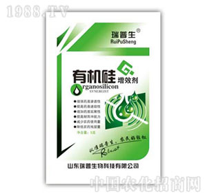 ������-�ЙC��