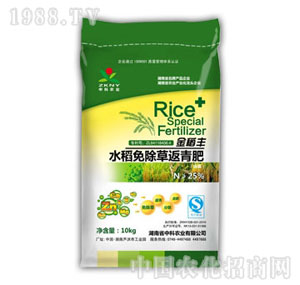 �п��r(n��ng)�I(y��)-���S