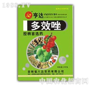 ���_-��Ч��