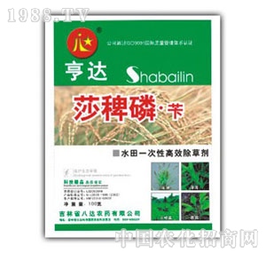 ���_-ɯ�����S