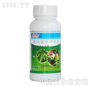 �G���-�JȔ�ܴ�