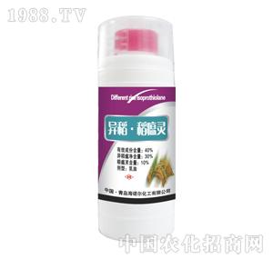 ���Z��-���������`