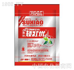 �²�����-���у�(y��u)