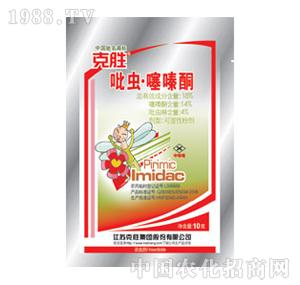 �˄�-���x���ͪ