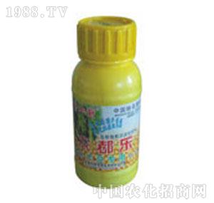 ��ʩ��-�r�����󶹌���