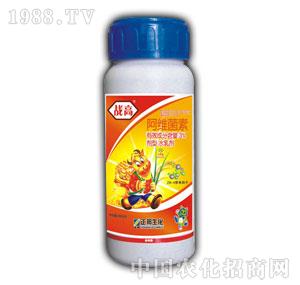 ����F(tu��n)-��(zh��n)��