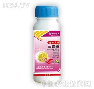 �G�S�r(n��ng)ˎ-�G�S���أ������ף�