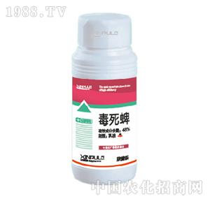 ���՘�(l��)-������