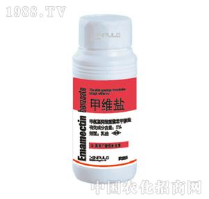 ���՘�(l��)-5%�׾S�}