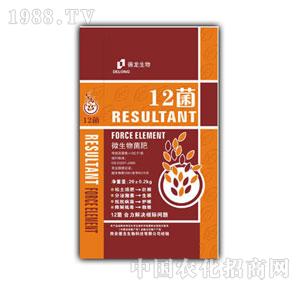 ����-12��΢�������