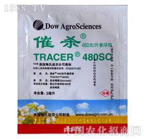 �V�|���-�ߚ������x����-��������