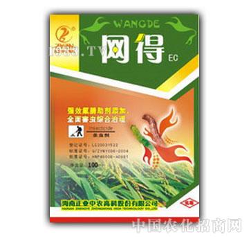 ���I(y��)���r-�W(w��ng)��