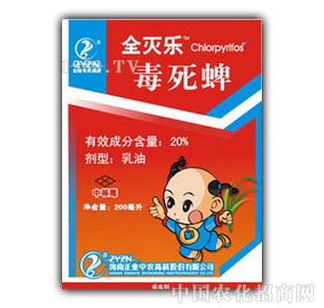 ���I(y��)���r-ȫ�瘷