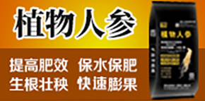 ɽ�|�����������＼�g(sh��)���޹�˾